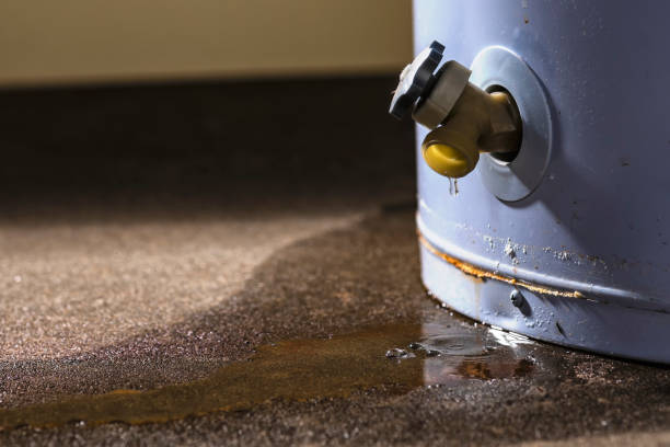Best Flood damage cleanup  in Bridgeport, OH