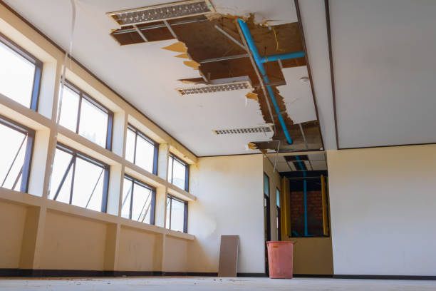 Best Flooded house restoration  in Bridgeport, OH