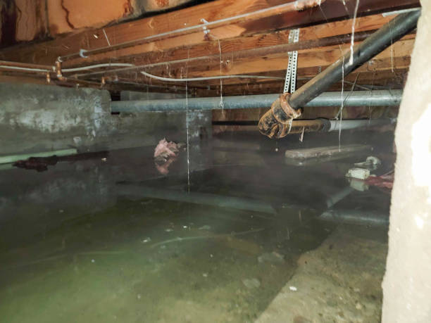 Local water damage restoration in Bridgeport, OH