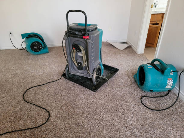 Best Ceiling water damage repair  in Bridgeport, OH