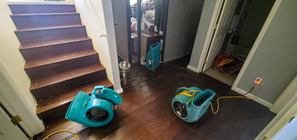 Best Water damage restoration near me  in Bridgeport, OH