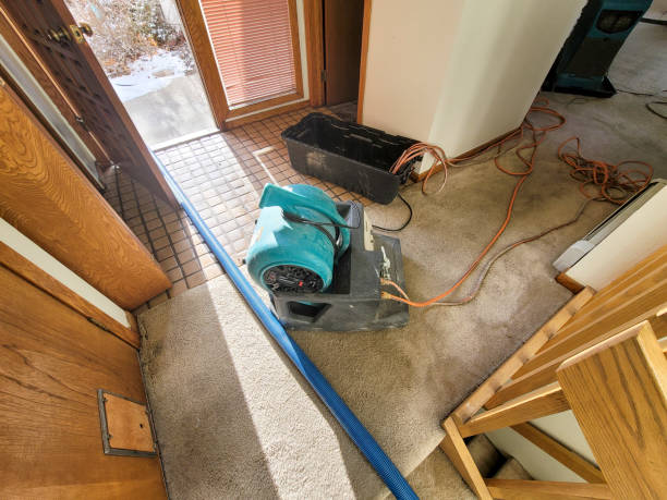 Reliable Bridgeport, OH Water damage restoration Solutions