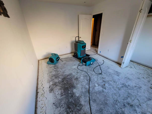 Best Mold removal after water damage  in Bridgeport, OH