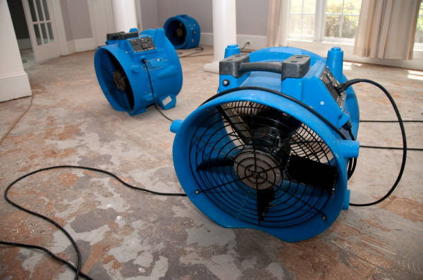 Best Emergency water extraction  in Bridgeport, OH