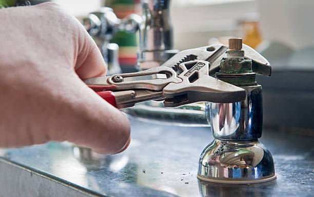 Best Water damage cleanup near me  in Bridgeport, OH