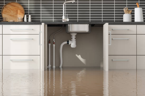 Best Flood damage cleanup  in Bridgeport, OH